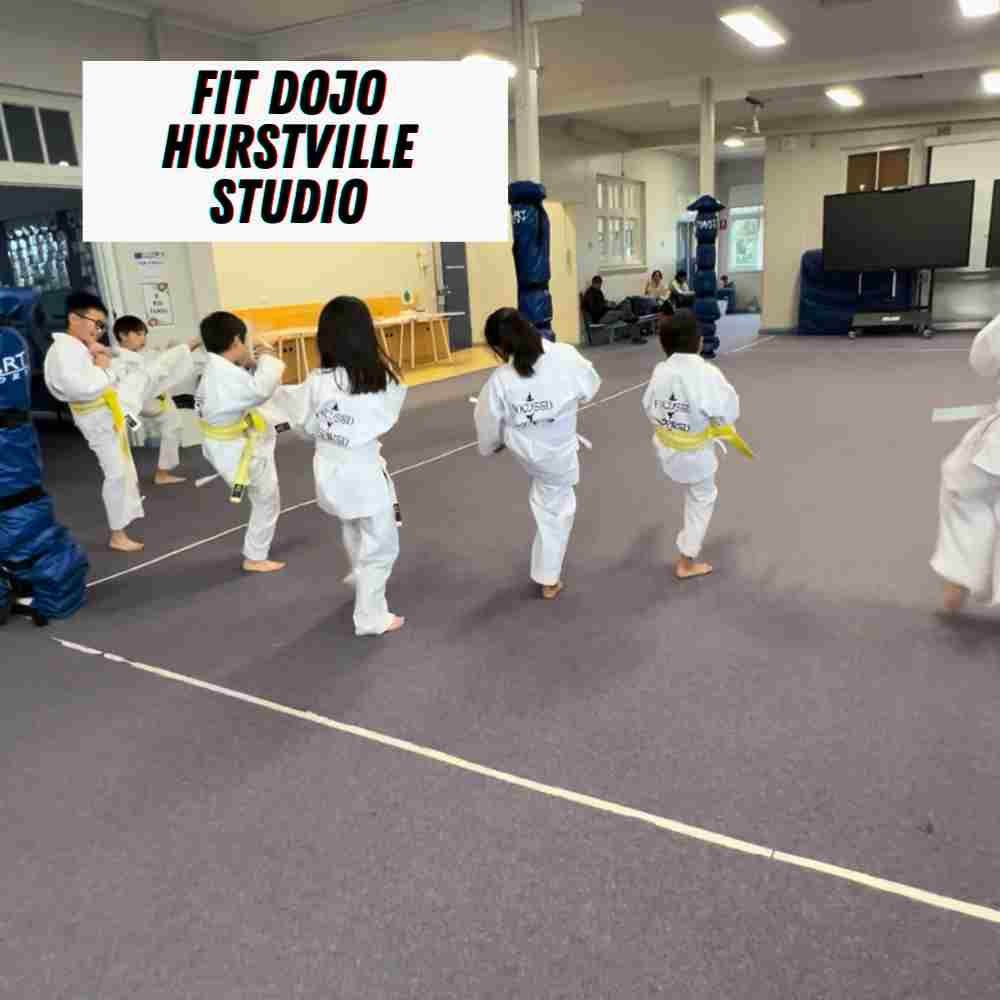 Hurstville venue kids karate Hurstville public school