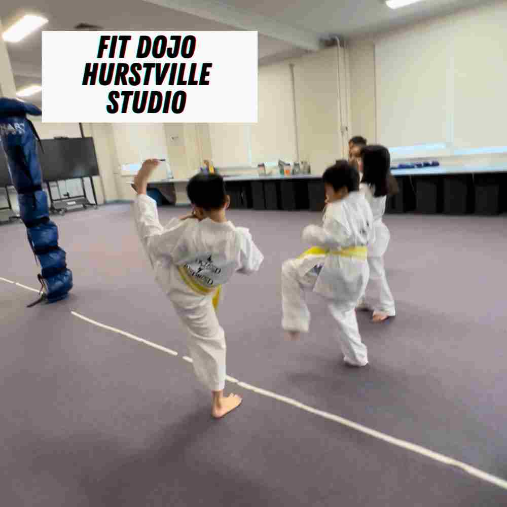 Hurstville kids karate Kick