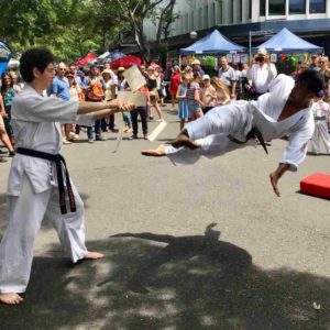 FitDojo Sensei Anuj Breaking a 3 cm wooden board